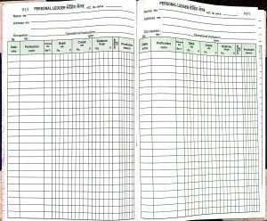 Ledger book columns personal savings
