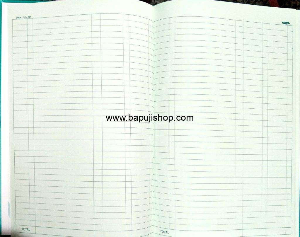 Double entry cash book