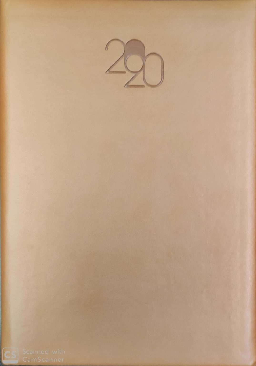 Diary 2020
